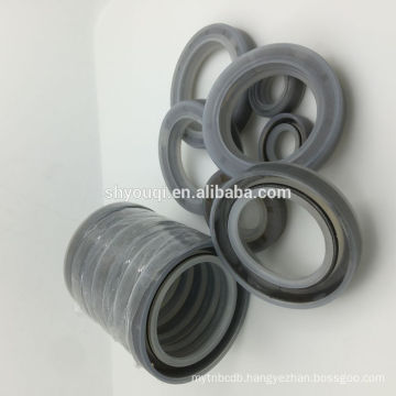 TC double lip pumps pusher type mechanical shaft oil seal Silicone VMQ Oil seals parts